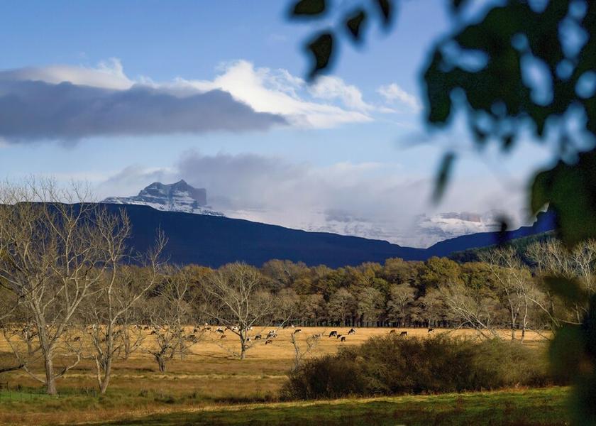 KwaZulu-Natal Elandskop Land View from Property