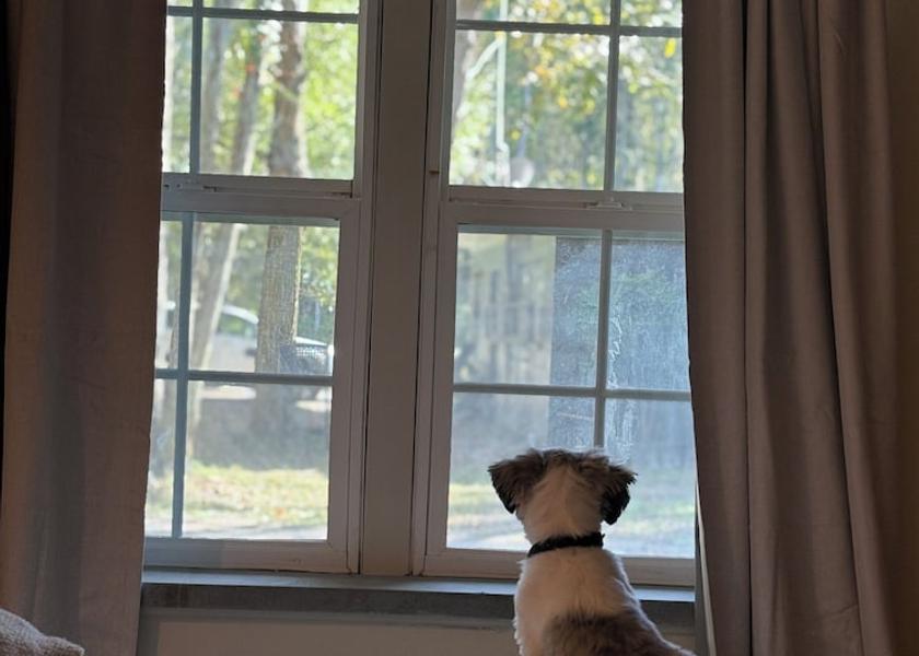 Florida Tallahassee Room