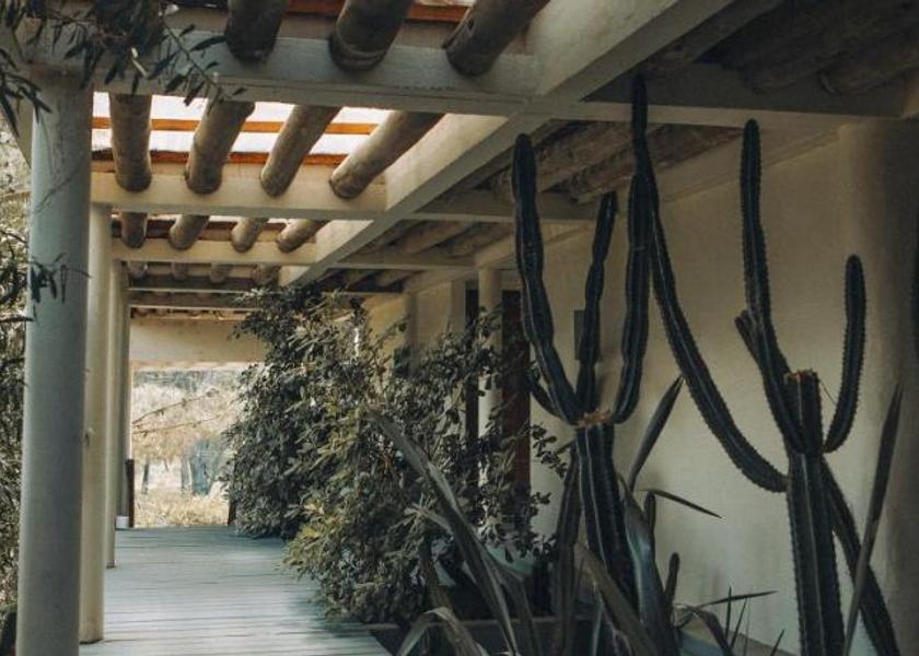 Maldonado José Ignacio Lobby