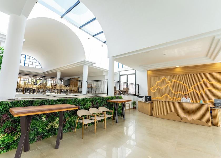 Canary Islands Tías Reception