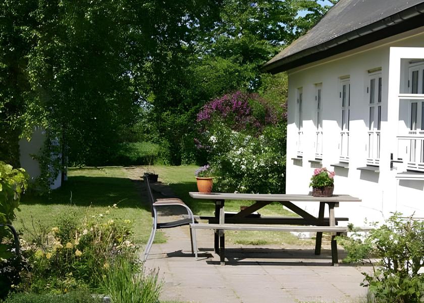 Surrounding environment