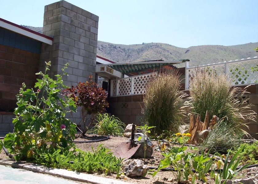 California Coleville Surrounding environment