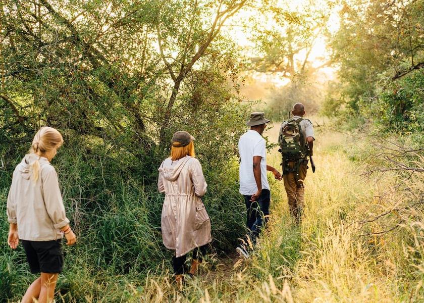 Limpopo Hoedspruit Property grounds