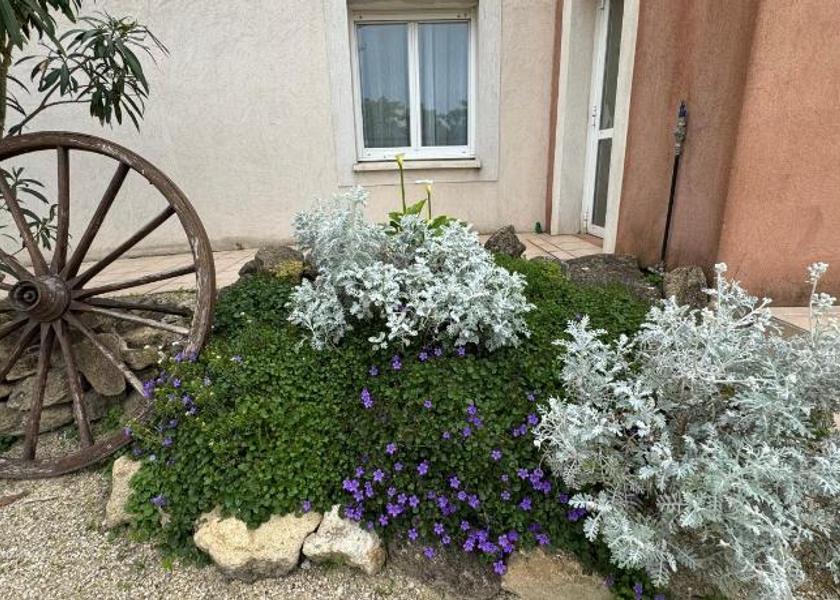 Provence-Alpes-Côte d'Azur Saint-Martin-de-Crau Garden