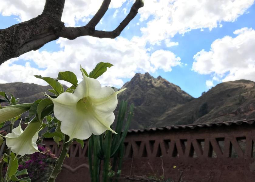 Cusco Region Pisac View