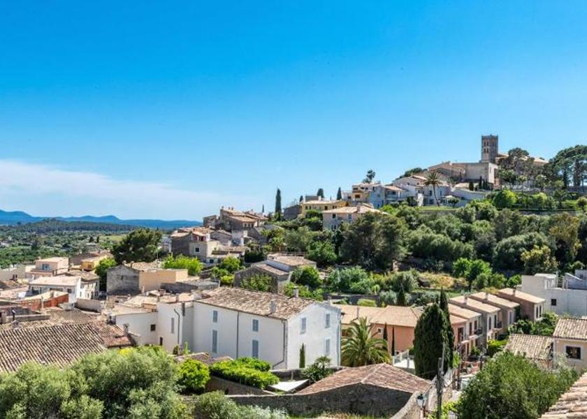 Balearic Islands Selva View