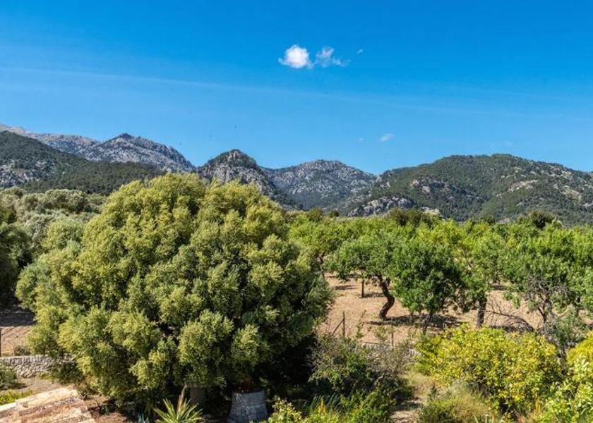 Balearic Islands Selva Garden