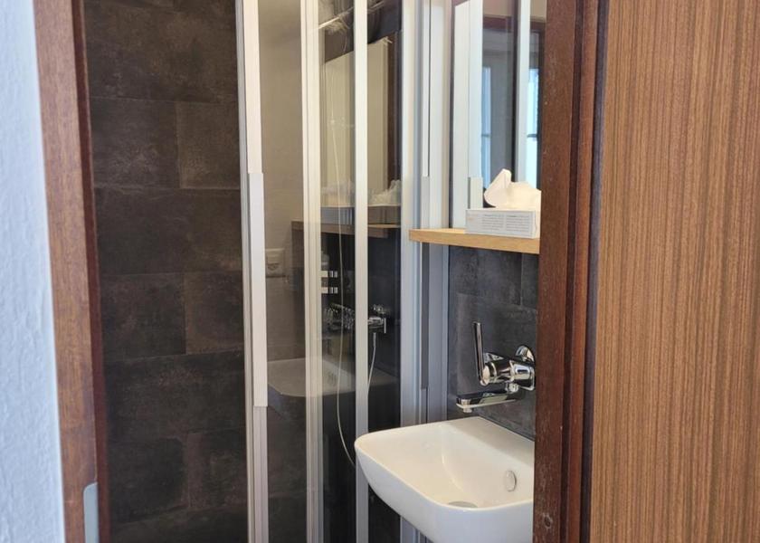 Graubünden Chur Single Room with Shared Toilet