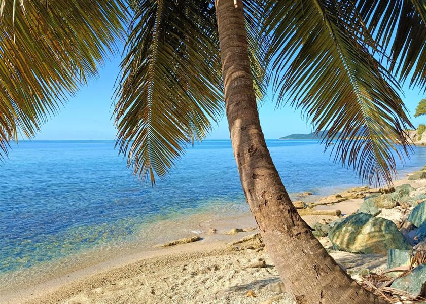  Vieques Beach