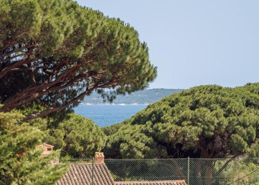 Provence-Alpes-Côte d'Azur Sainte-Maxime 