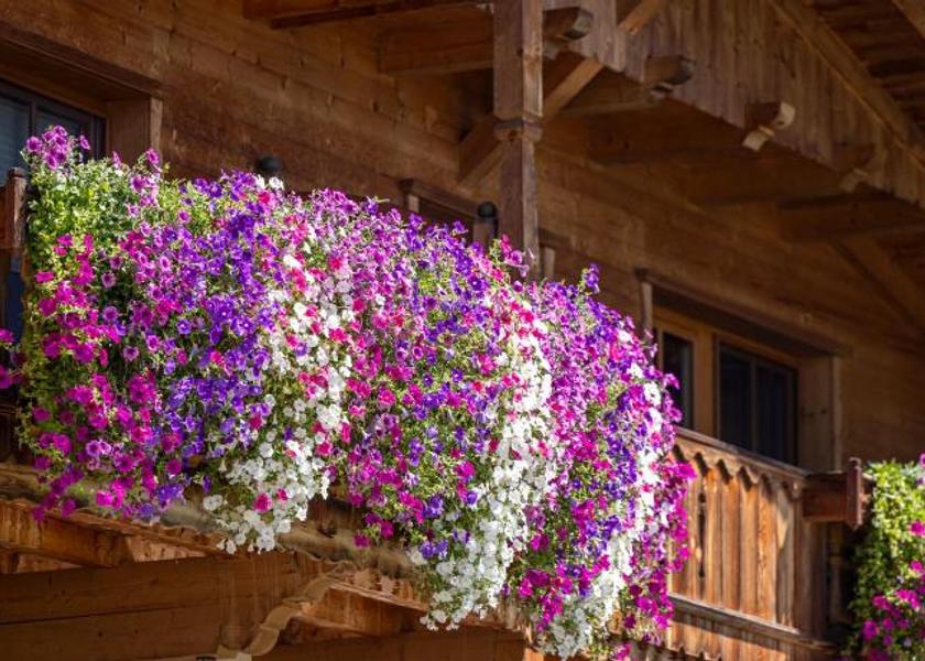 Tyrol Mayrhofen 