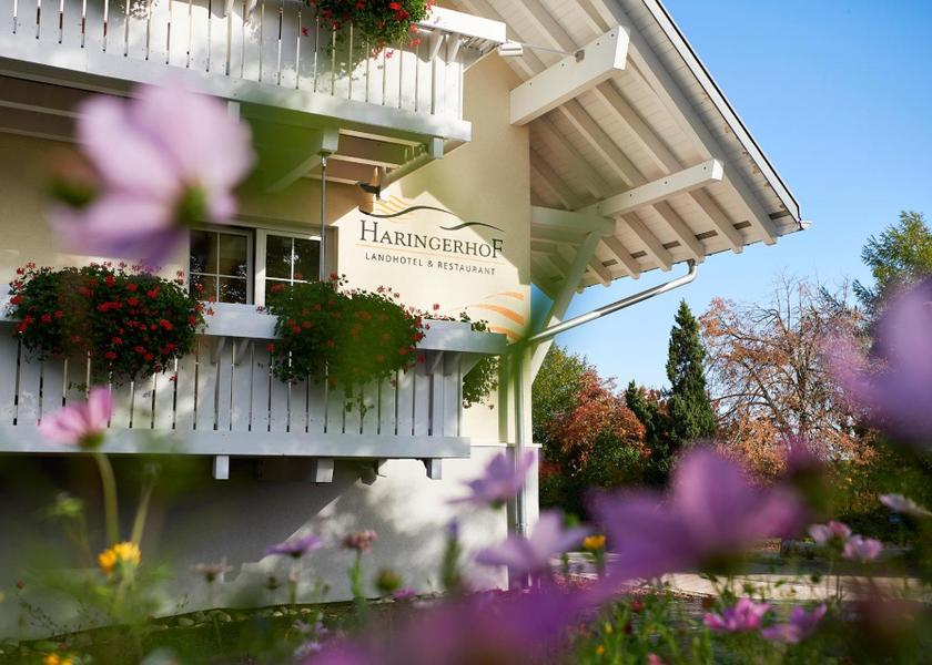 Baden-Württemberg Grafenhausen 