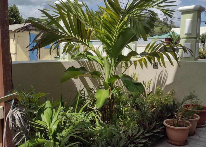 St. Andrew Parish Calibishie Garden