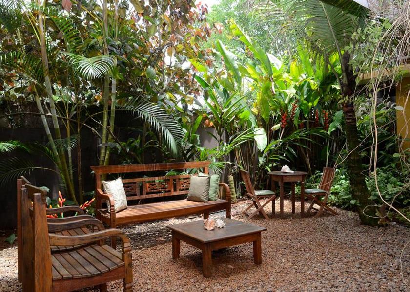 São Paulo State São Sebastião Garden