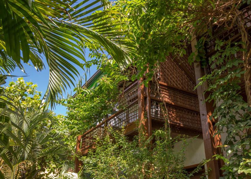 Bahia State Mata de São João Garden