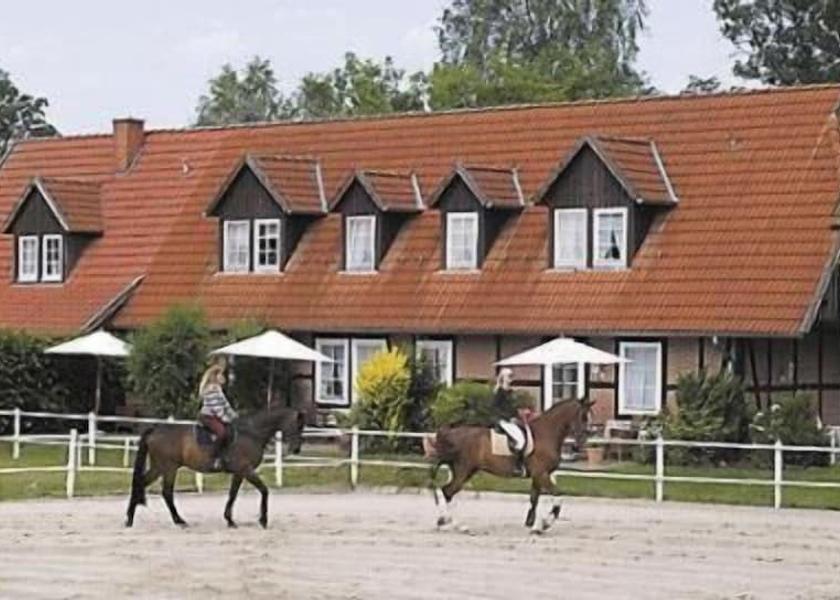 Lower Saxony Südheide Sport court