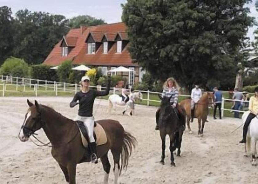 Lower Saxony Südheide Fitness facility