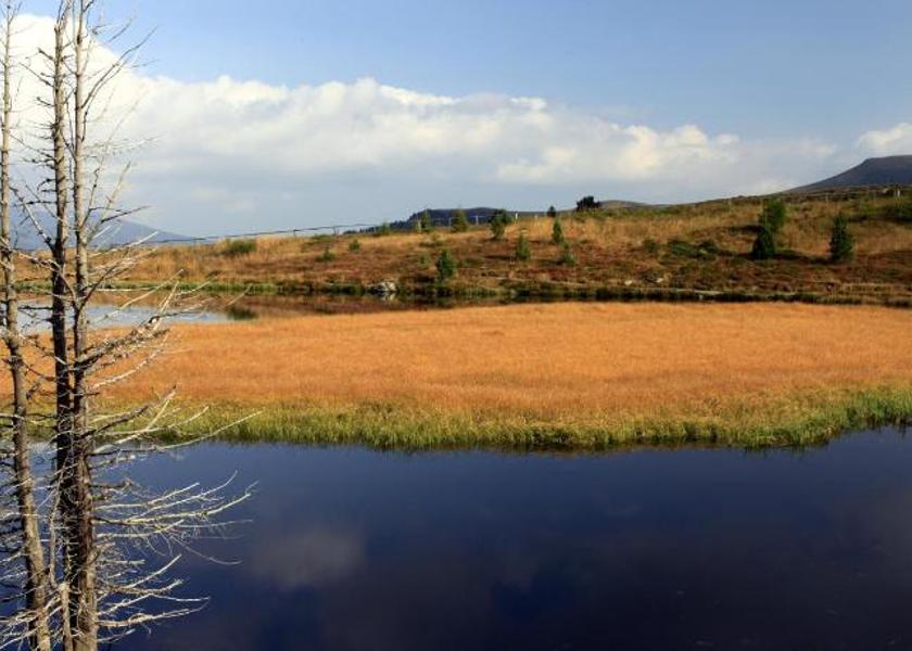 Carinthia Bad Kleinkirchheim Surrounding environment
