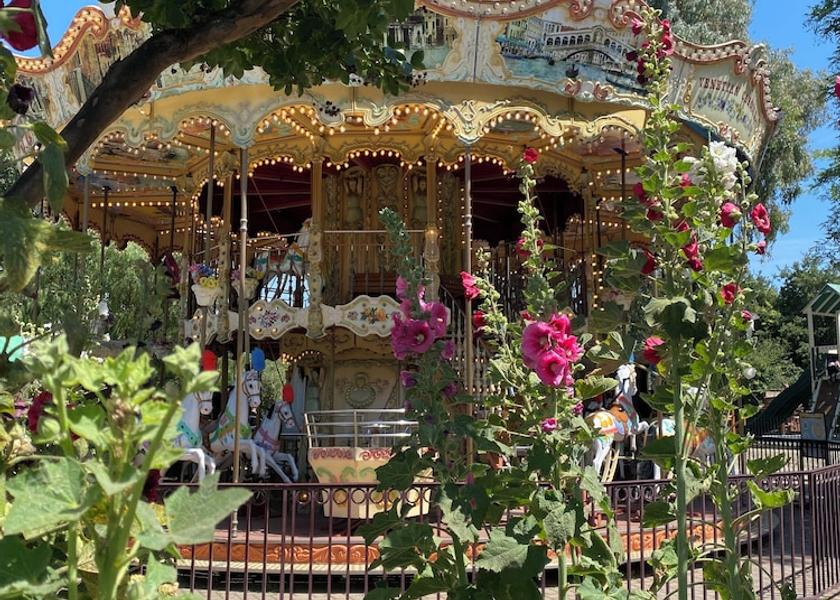 Children's play area - outdoor