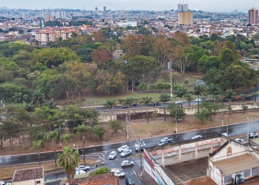 São Paulo State Ribeirão Preto View