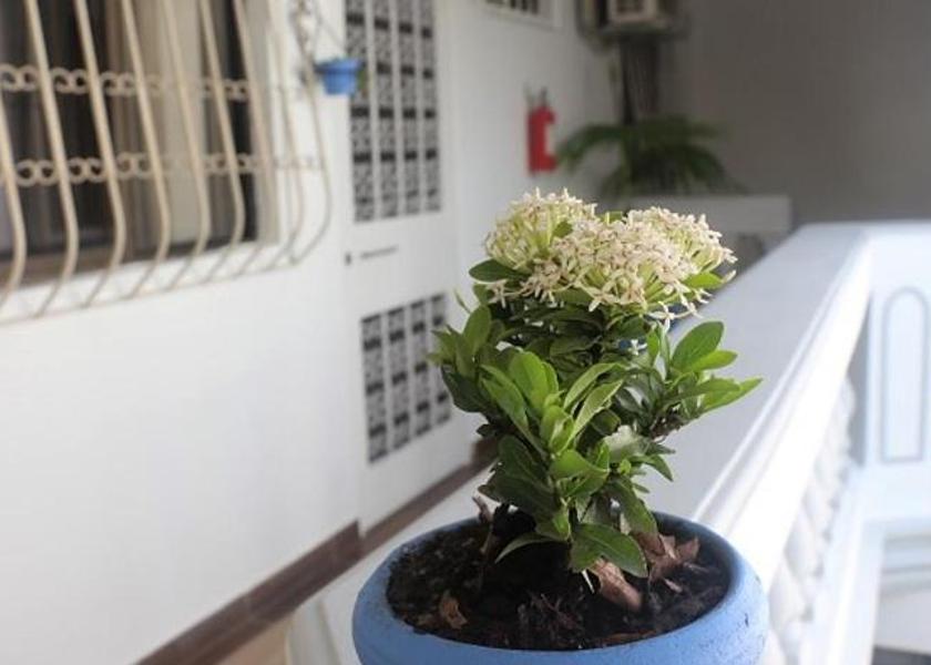Guayas Guayaquil Balcony/terrace