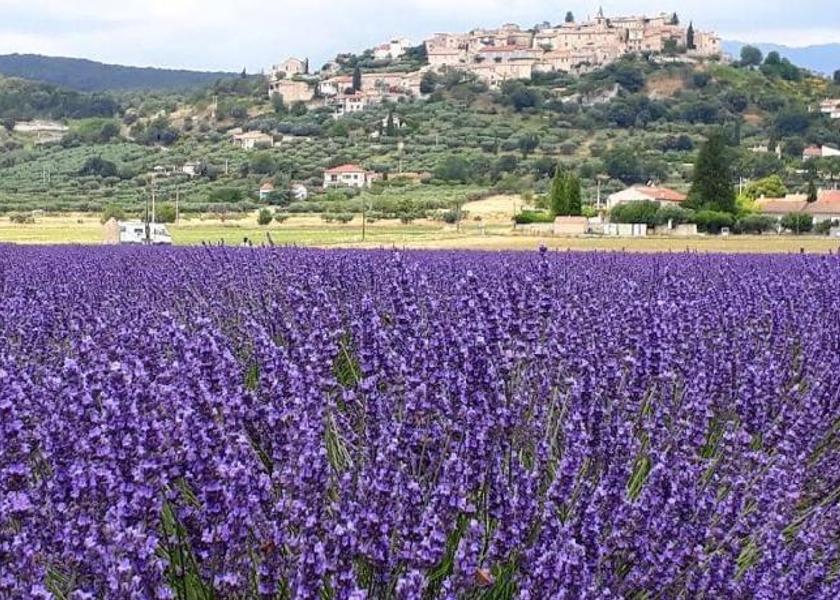 Provence-Alpes-Côte d'Azur Montfort View
