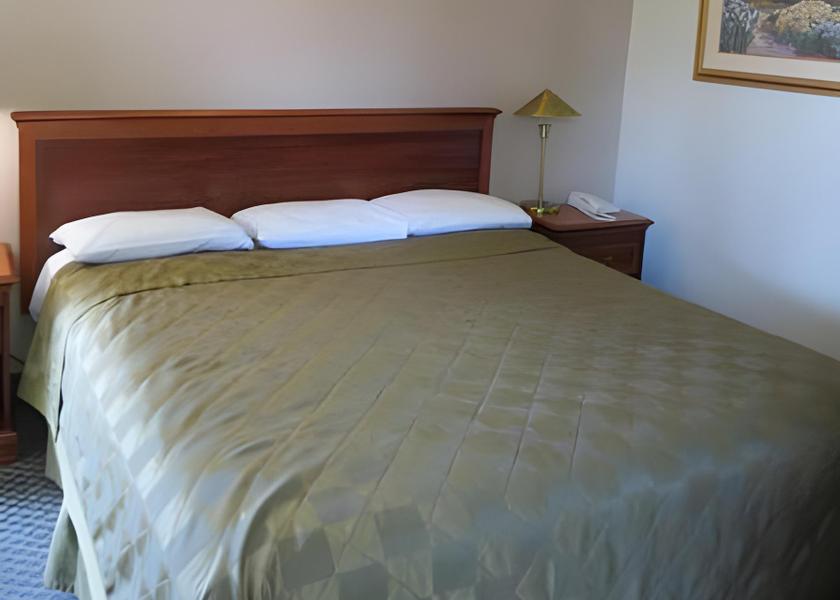 California Berkeley Guestroom