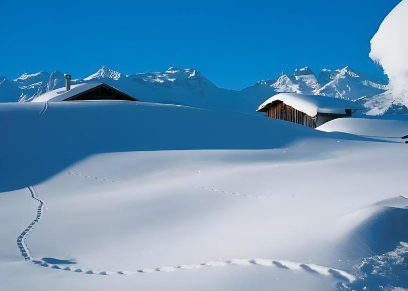 Vorarlberg Gaschurn Surrounding environment