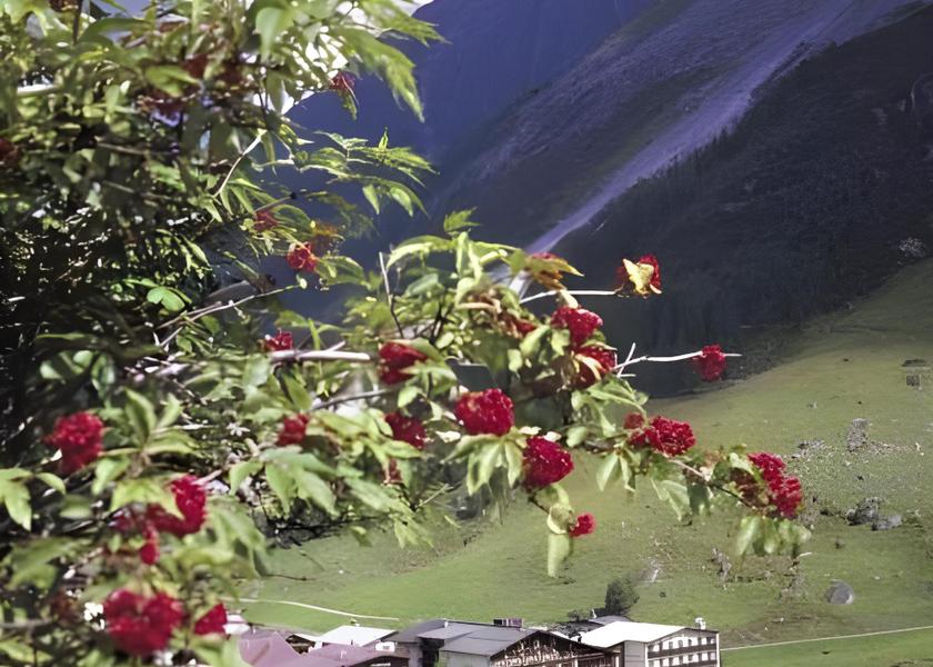 Tyrol Tux View