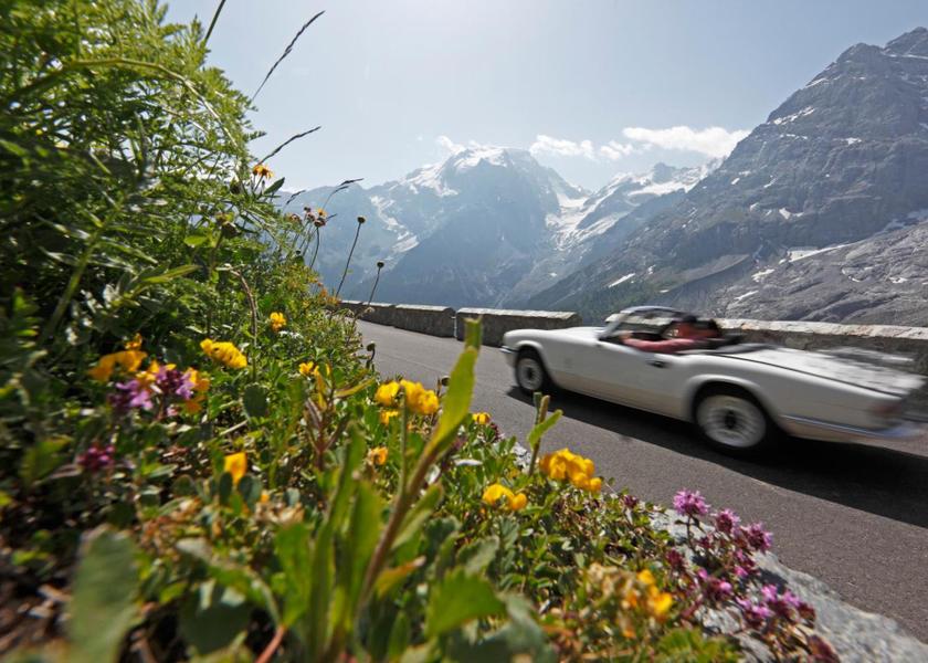 Trentino-Alto Adige Stelvio Surrounding environment