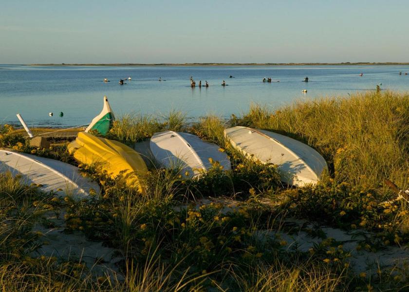 Surrounding environment