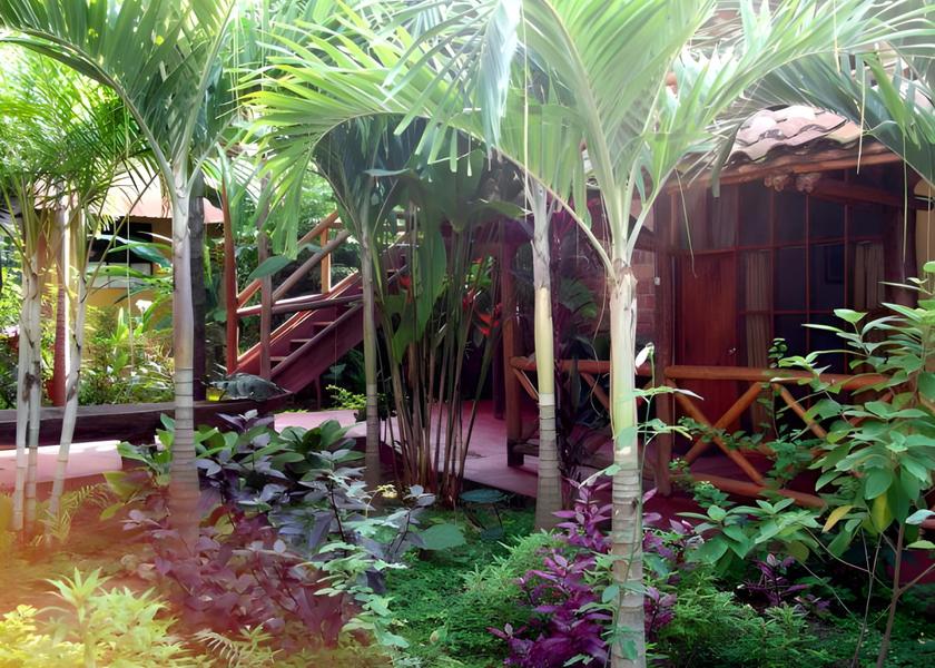 Surrounding environment