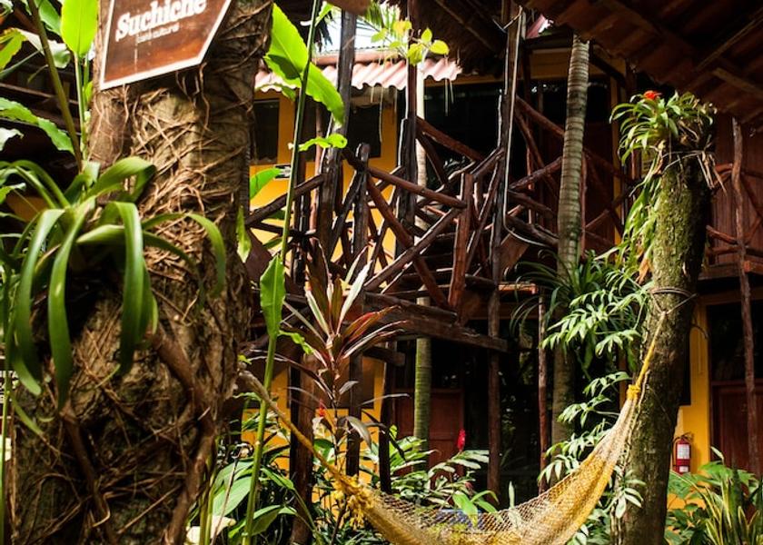 San Martin Region Tarapoto Garden