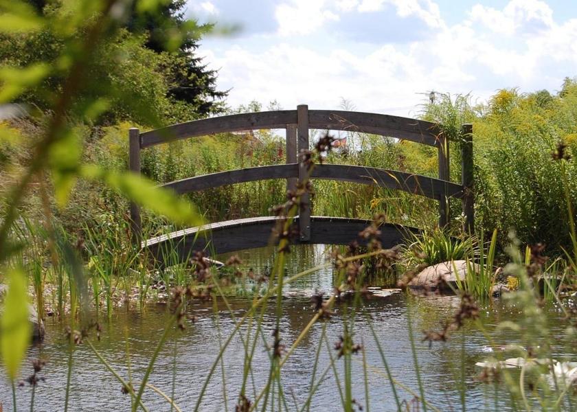 Surrounding environment