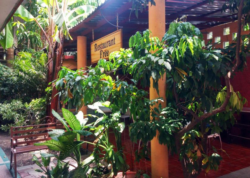 San Luis Potosi Ciudad Valles 
