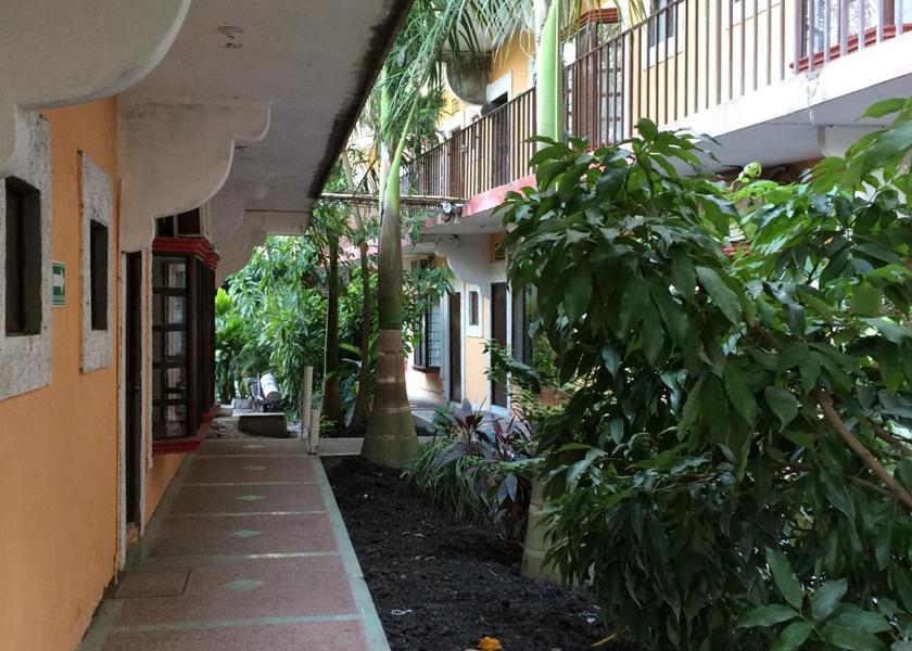 San Luis Potosi Ciudad Valles Garden