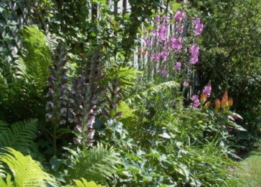 Ontario Niagara-on-the-Lake Garden