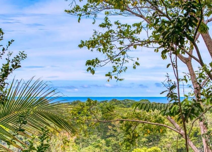 Limón Province Cahuita Surrounding environment