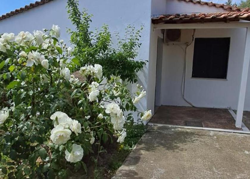 Thessaly Skiathos Exterior view