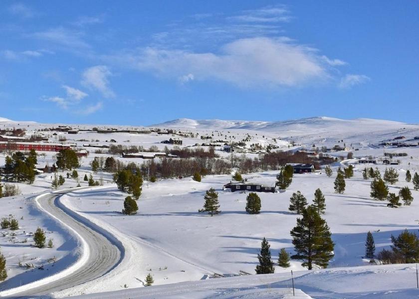 Surrounding environment