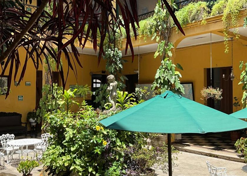Guatemala Department Guatemala City Garden