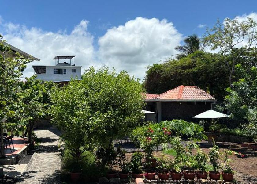 Galápagos Puerto Ayora Garden