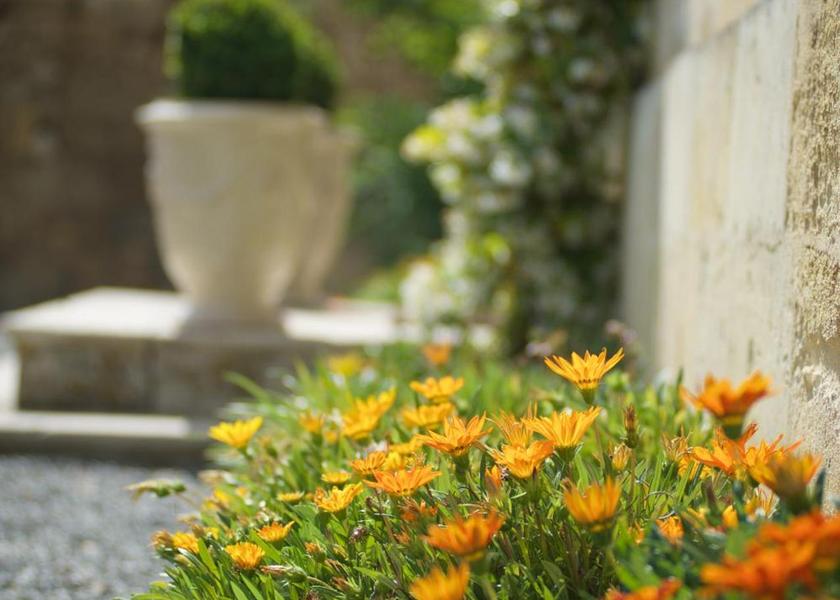 Nouvelle-Aquitaine Saint-Émilion View