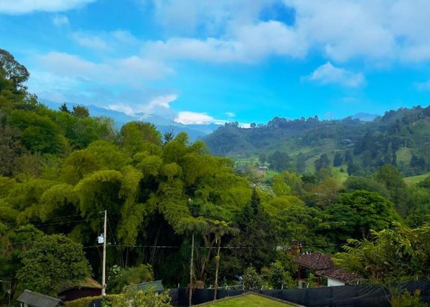 Quindío Salento View
