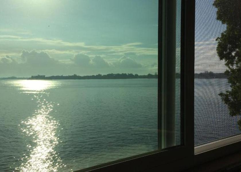 Hawaii Hilo View