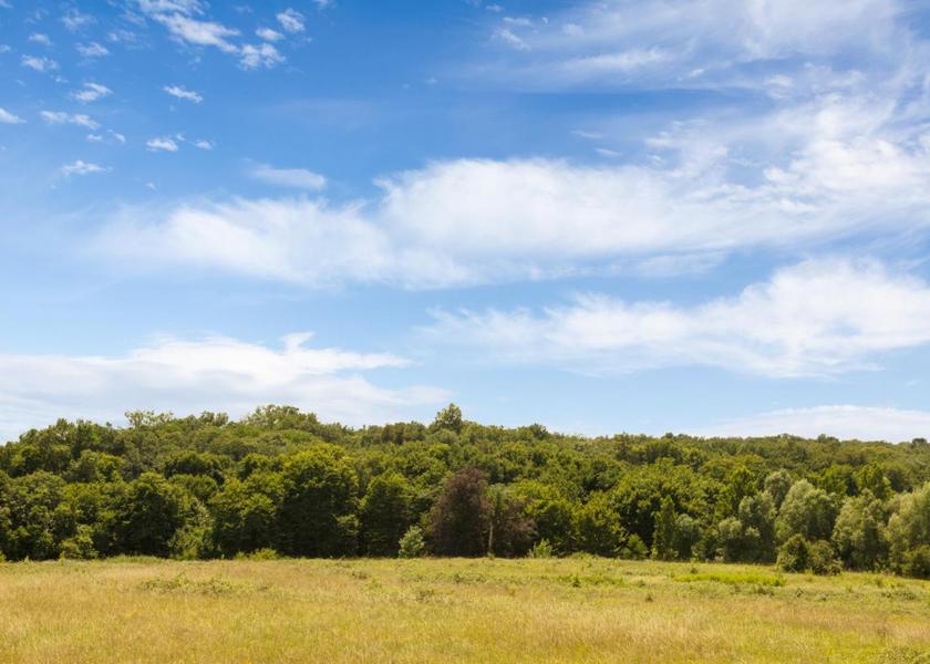 Nouvelle-Aquitaine Tresses Surrounding environment