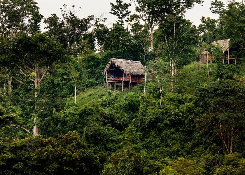 Surrounding environment