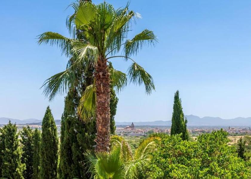 Balearic Islands Porreres Surrounding environment