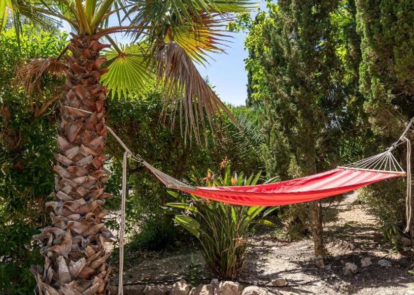 Balearic Islands Porreres Garden