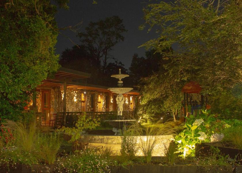 Araucanía Region Temuco Garden
